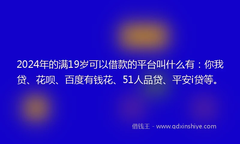 2024年的满19岁可以借款的平台叫什么有：你我贷、花呗、百度有钱花、51人品贷、平安i贷等。