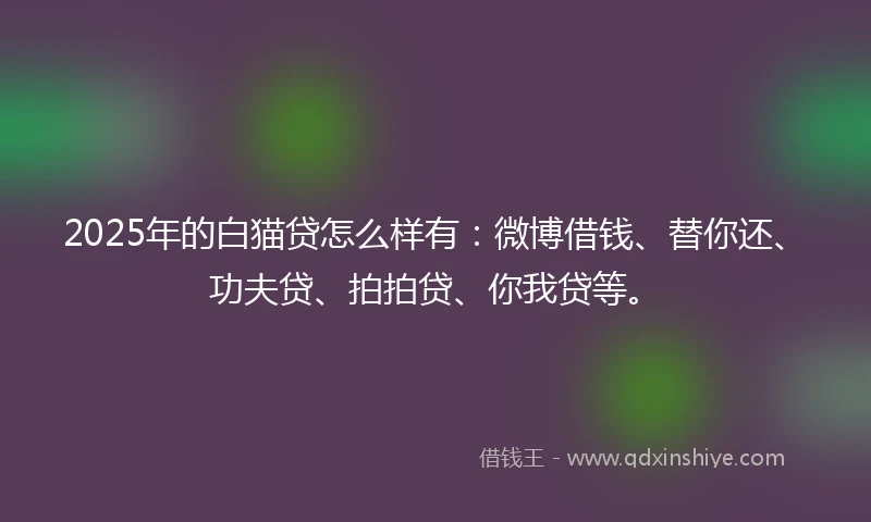 2025年的白猫贷怎么样有：微博借钱、替你还、功夫贷、拍拍贷、你我贷等。