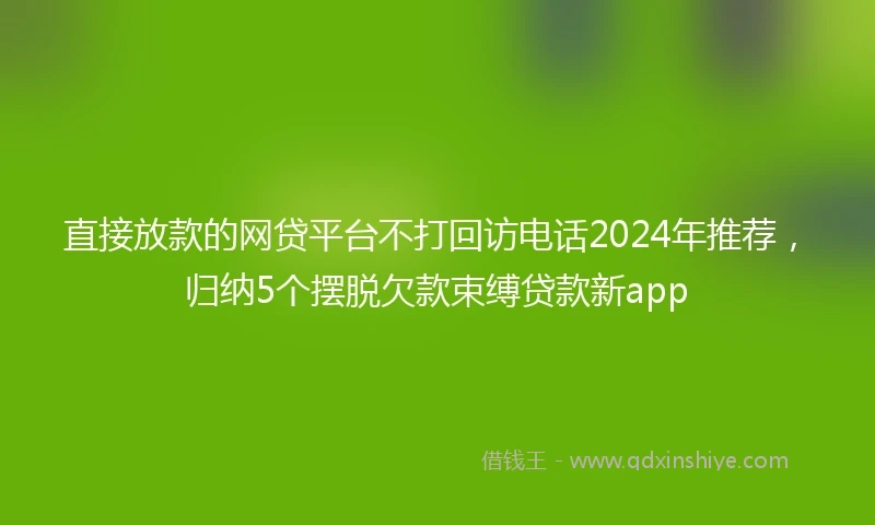 直接放款的网贷平台不打回访电话2024年推荐，归纳5个摆脱欠款束缚贷款新app