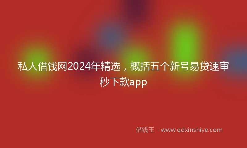 私人借钱网2024年精选，概括五个新号易贷速审秒下款app