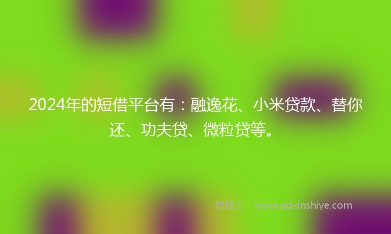 2024年的短借平台有：融逸花、小米贷款、替你还、功夫贷、微粒贷等。