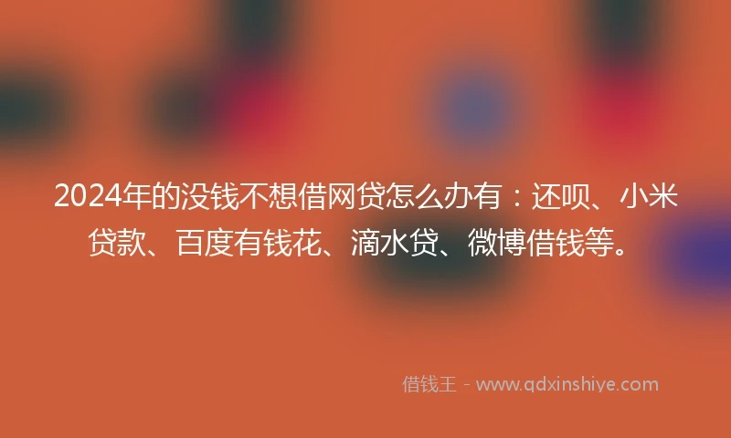 2024年的没钱不想借网贷怎么办有：还呗、小米贷款、百度有钱花、滴水贷、微博借钱等。