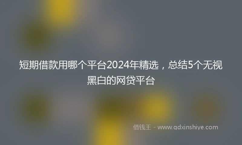 短期借款用哪个平台2024年精选，总结5个无视黑白的网贷平台