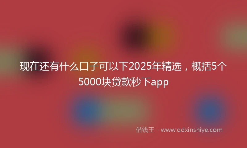 现在还有什么口子可以下2025年精选，概括5个5000块贷款秒下app