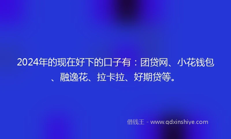 2024年的现在好下的口子有：团贷网、小花钱包、融逸花、拉卡拉、好期贷等。