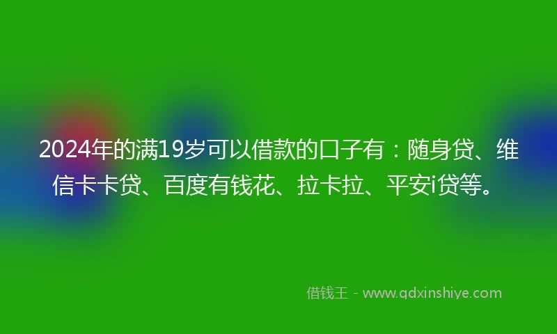 2024年的满19岁可以借款的口子有：随身贷、维信卡卡贷、百度有钱花、拉卡拉、平安i贷等。