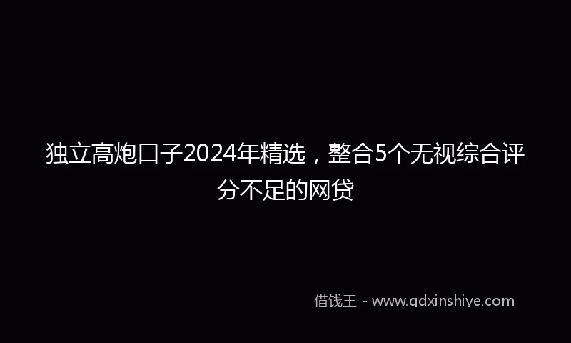 独立高炮口子2024年精选，整合5个无视综合评分不足的网贷