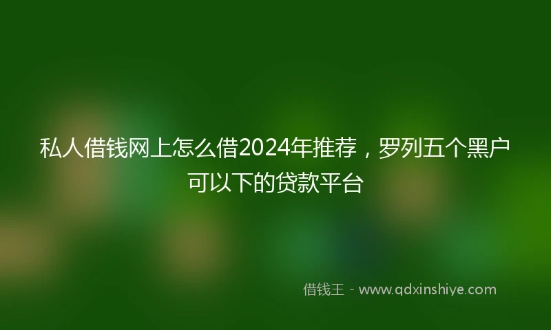 私人借钱网上怎么借2024年推荐，罗列五个黑户可以下的贷款平台