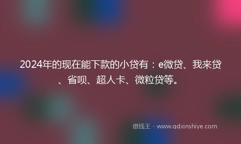 2024年的现在能下款的小贷有：e微贷、我来贷、省呗、超人卡、微粒贷等。
