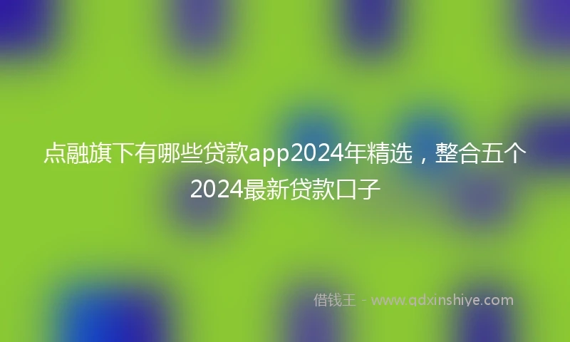 点融旗下有哪些贷款app2024年精选，整合五个2024最新贷款口子