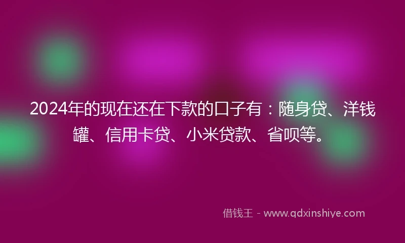 2024年的现在还在下款的口子有：随身贷、洋钱罐、信用卡贷、小米贷款、省呗等。