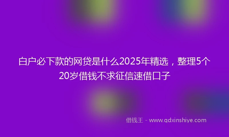 白户必下款的网贷是什么2025年精选，整理5个20岁借钱不求征信速借口子
