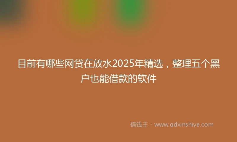 目前有哪些网贷在放水2025年精选，整理五个黑户也能借款的软件