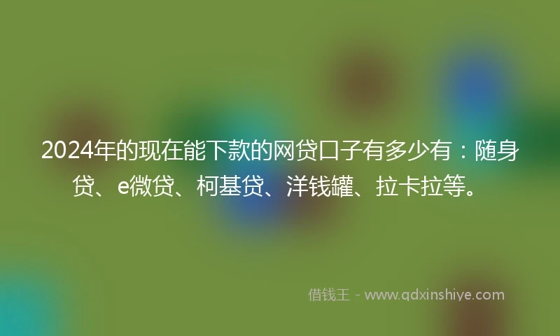 2024年的现在能下款的网贷口子有多少有：随身贷、e微贷、柯基贷、洋钱罐、拉卡拉等。