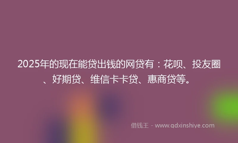 2025年的现在能贷出钱的网贷有：花呗、投友圈、好期贷、维信卡卡贷、惠商贷等。