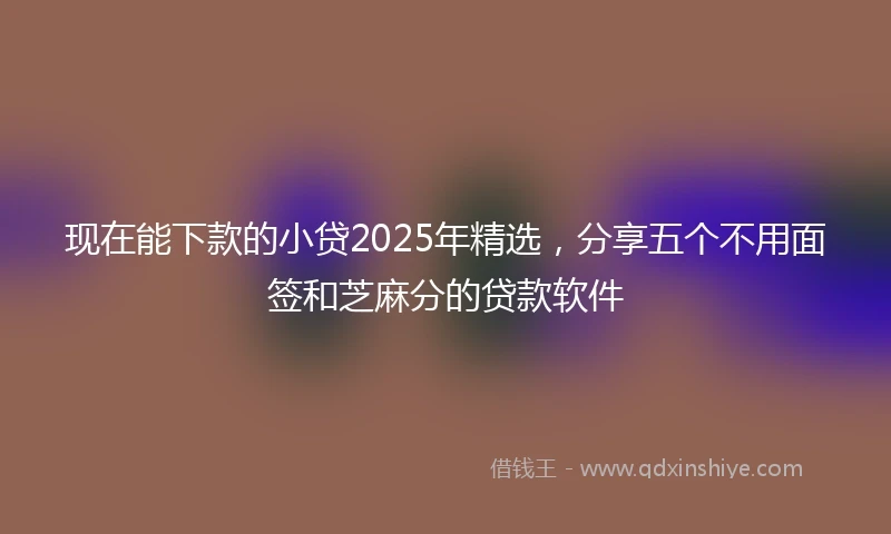 现在能下款的小贷2025年精选，分享五个不用面签和芝麻分的贷款软件