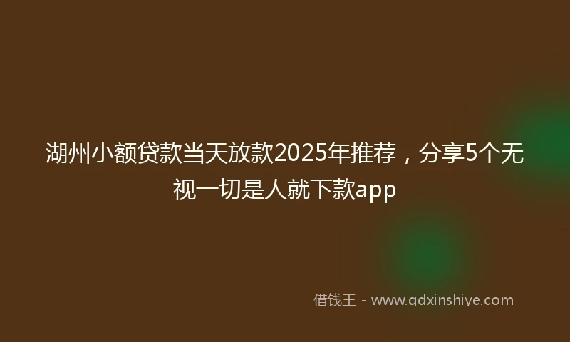 湖州小额贷款当天放款2025年推荐，分享5个无视一切是人就下款app