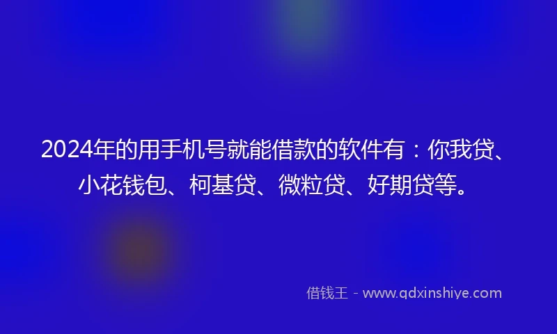 2024年的用手机号就能借款的软件有：你我贷、小花钱包、柯基贷、微粒贷、好期贷等。
