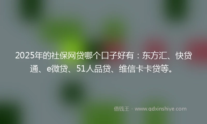 2025年的社保网贷哪个口子好有：东方汇、快贷通、e微贷、51人品贷、维信卡卡贷等。