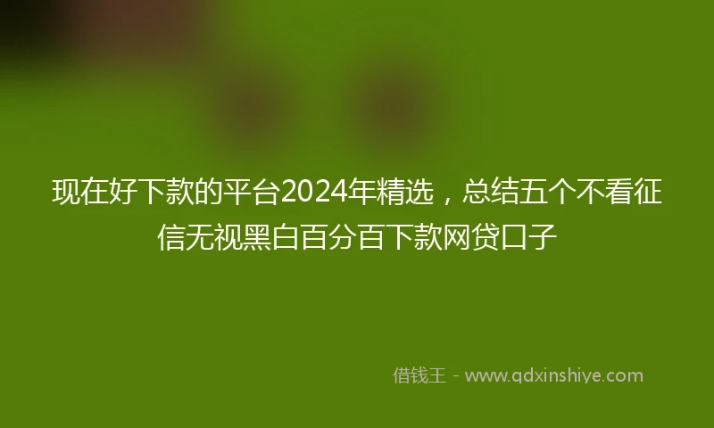 现在好下款的平台2024年精选，总结五个不看征信无视黑白百分百下款网贷口子