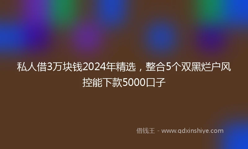 私人借3万块钱2024年精选，整合5个双黑烂户风控能下款5000口子