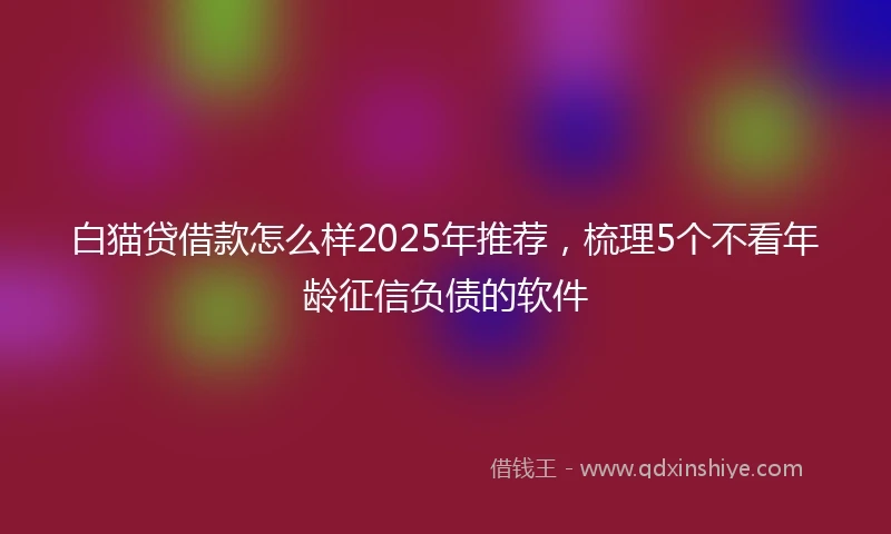 白猫贷借款怎么样2025年推荐，梳理5个不看年龄征信负债的软件