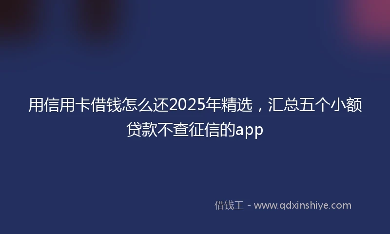 用信用卡借钱怎么还2025年精选，汇总五个小额贷款不查征信的app