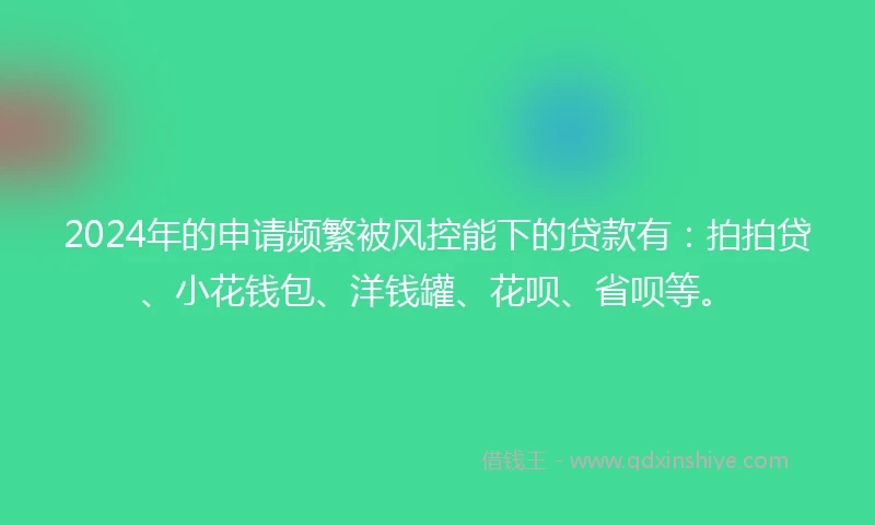 2024年的申请频繁被风控能下的贷款有：拍拍贷、小花钱包、洋钱罐、花呗、省呗等。