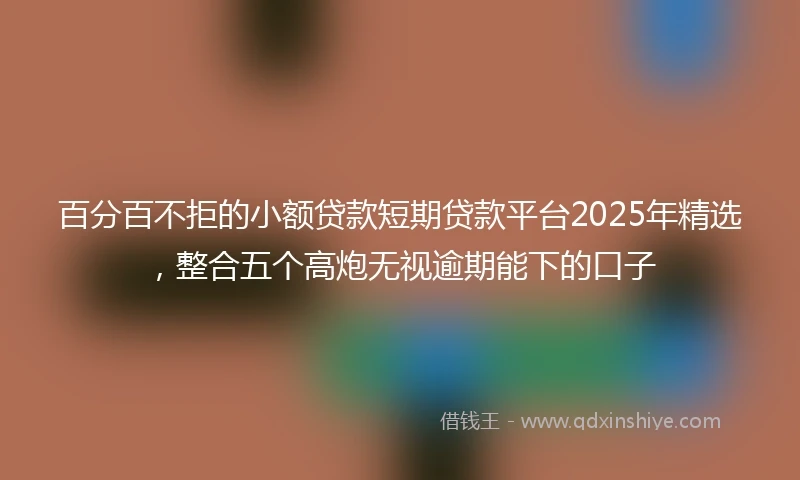 百分百不拒的小额贷款短期贷款平台2025年精选，整合五个高炮无视逾期能下的口子