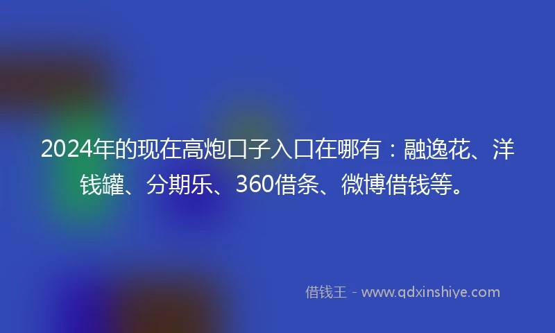 2024年的现在高炮口子入口在哪有：融逸花、洋钱罐、分期乐、360借条、微博借钱等。