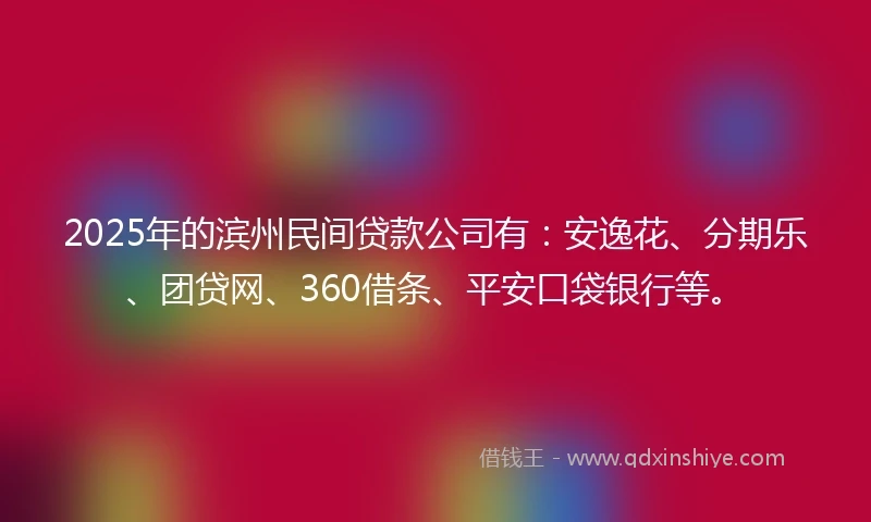 2025年的滨州民间贷款公司有:安逸花、分期乐、团贷网、360借条、平安口袋银行等。