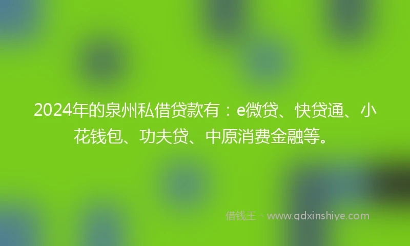 2024年的泉州私借贷款有：e微贷、快贷通、小花钱包、功夫贷、中原消费金融等。