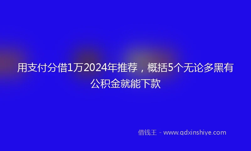 用支付分借1万2024年推荐,概括5个无论多黑有公积金就能下款