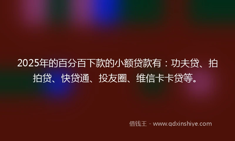 2025年的百分百下款的小额贷款有：功夫贷、拍拍贷、快贷通、投友圈、维信卡卡贷等。
