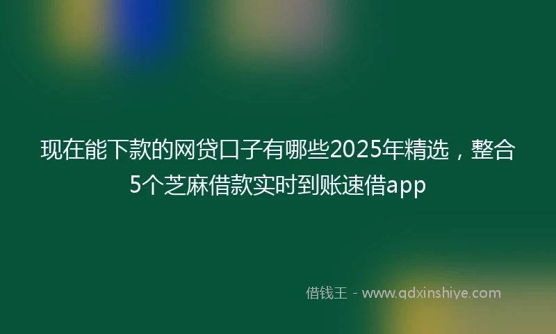 现在能下款的网贷口子有哪些2025年精选，整合5个芝麻借款实时到账速借app
