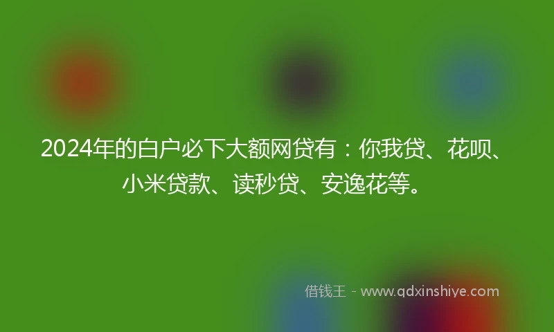 2024年的白户必下大额网贷有：你我贷、花呗、小米贷款、读秒贷、安逸花等。