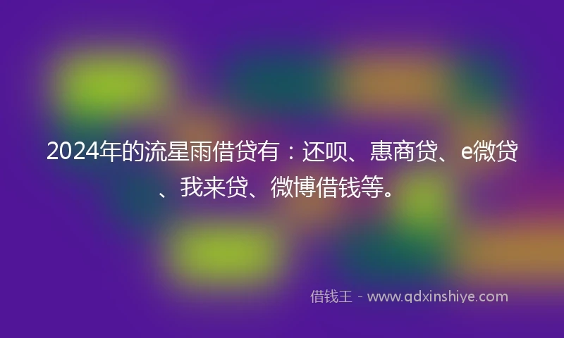 2024年的流星雨借贷有：还呗、惠商贷、e微贷、我来贷、微博借钱等。