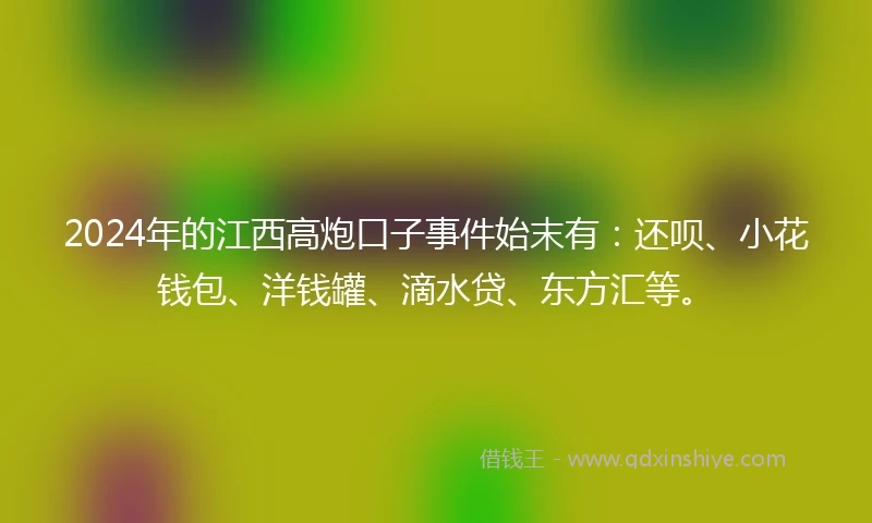 2024年的江西高炮口子事件始末有：还呗、小花钱包、洋钱罐、滴水贷、东方汇等。