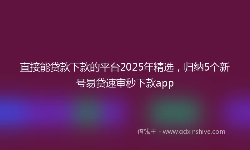 直接能贷款下款的平台2025年精选，归纳5个新号易贷速审秒下款app