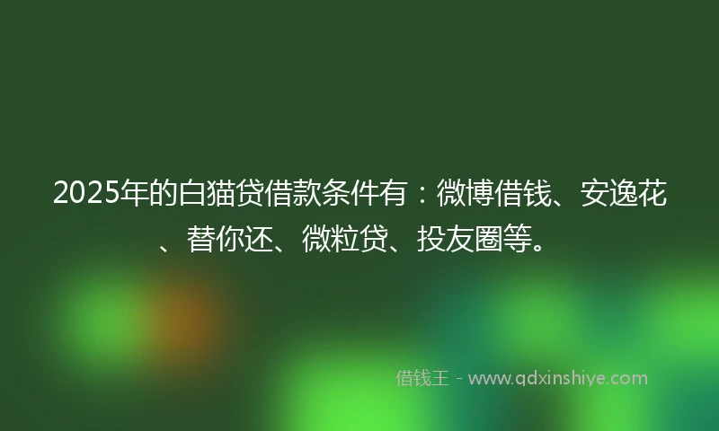 2025年的白猫贷借款条件有：微博借钱、安逸花、替你还、微粒贷、投友圈等。