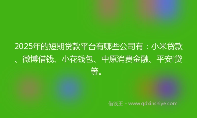 2025年的短期贷款平台有哪些公司有：小米贷款、微博借钱、小花钱包、中原消费金融、平安i贷等。