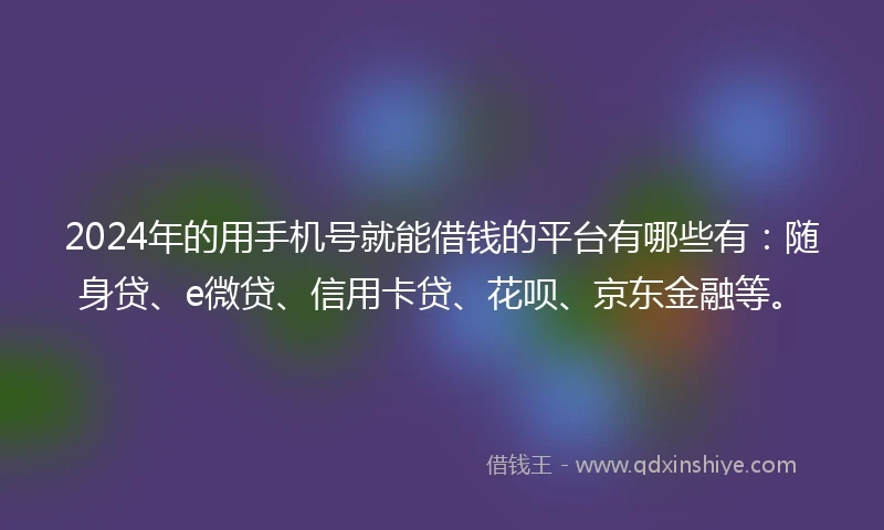 2024年的用手机号就能借钱的平台有哪些有：随身贷、e微贷、信用卡贷、花呗、京东金融等。
