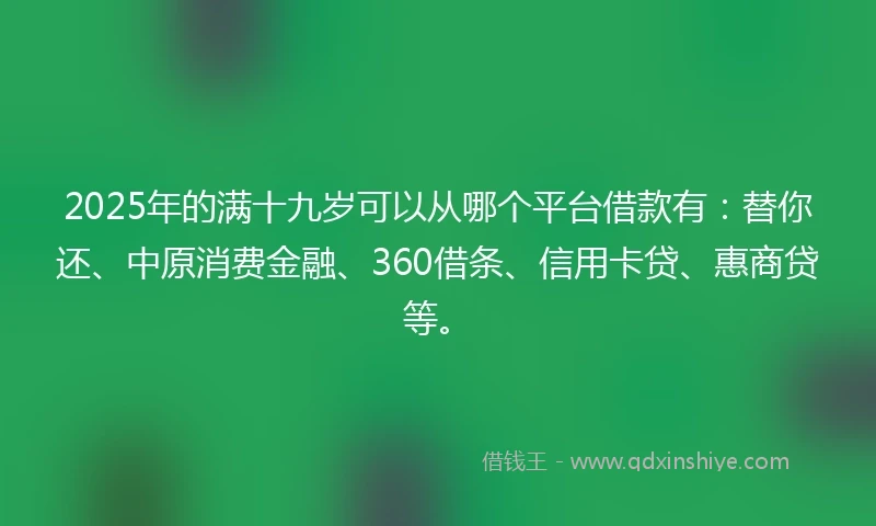 2025年的满十九岁可以从哪个平台借款有：替你还、中原消费金融、360借条、信用卡贷、惠商贷等。