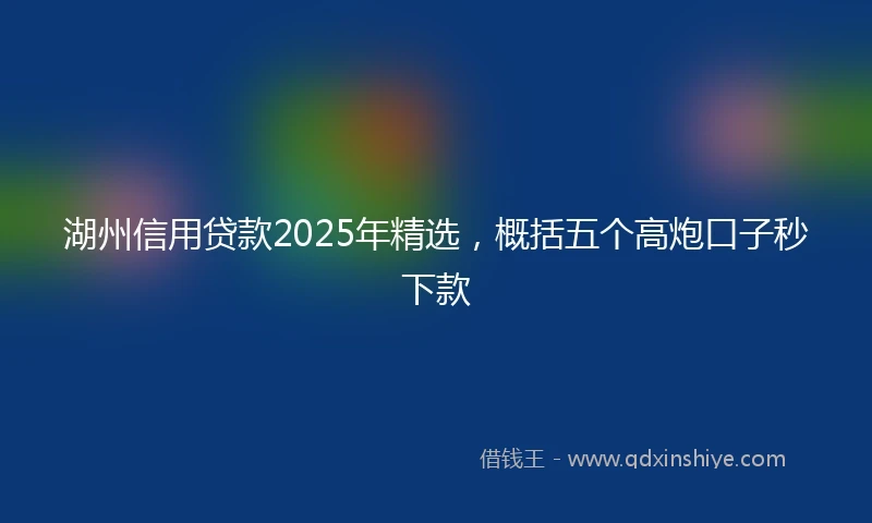 湖州信用贷款2025年精选，概括五个高炮口子秒下款