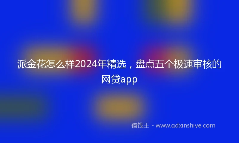 派金花怎么样2024年精选，盘点五个极速审核的网贷app