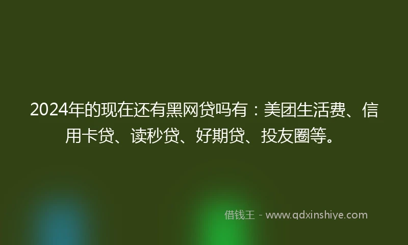 2024年的现在还有黑网贷吗有：美团生活费、信用卡贷、读秒贷、好期贷、投友圈等。