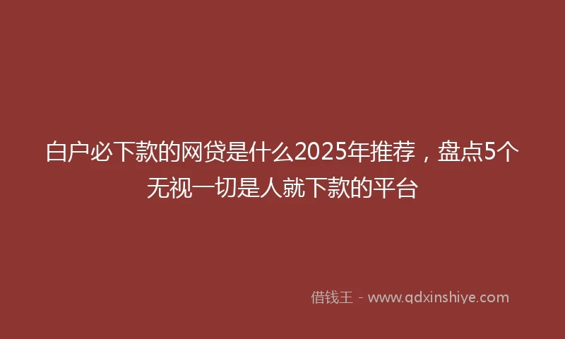 白户必下款的网贷是什么2025年推荐，盘点5个无视一切是人就下款的平台