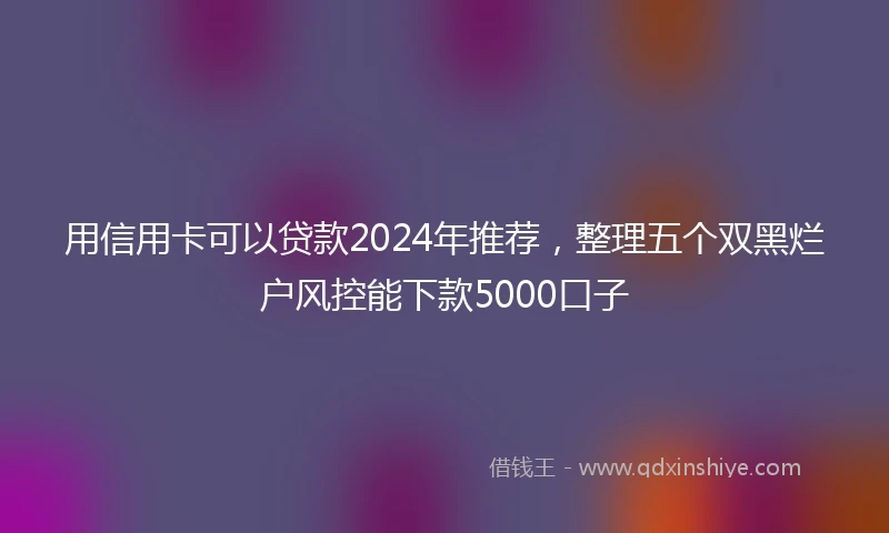 用信用卡可以贷款2024年推荐,整理五个双黑烂户风控能下款5000口子