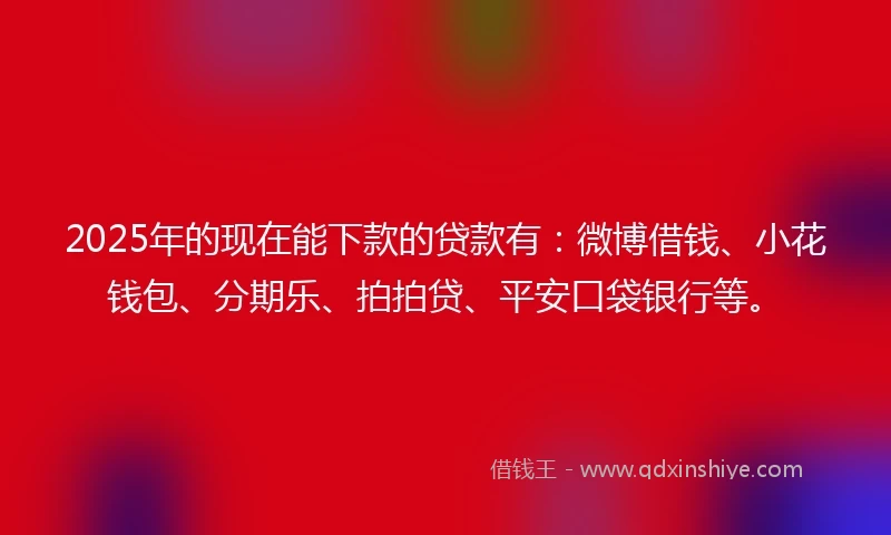 2025年的现在能下款的贷款有：微博借钱、小花钱包、分期乐、拍拍贷、平安口袋银行等。