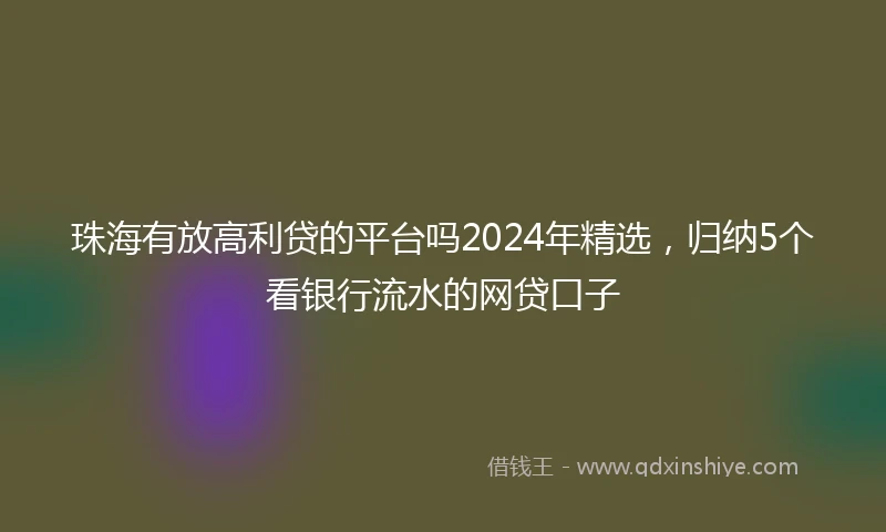 珠海有放高利贷的平台吗2024年精选，归纳5个看银行流水的网贷口子